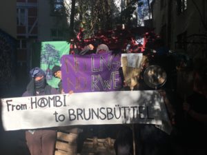 Read more about the article Solidarity with the anti-gas resistance in Brunsbüttel!